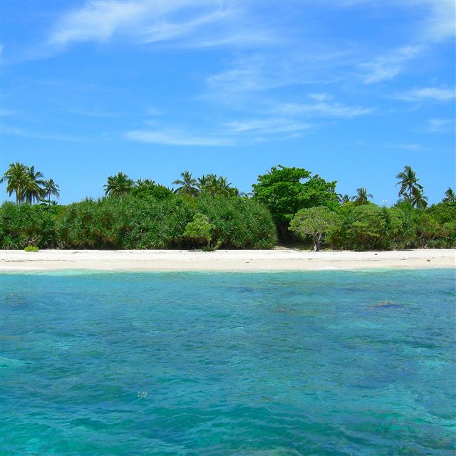 2048x2048 Tropical Clean Ocean Beach View -  iPad Air Wallpaper