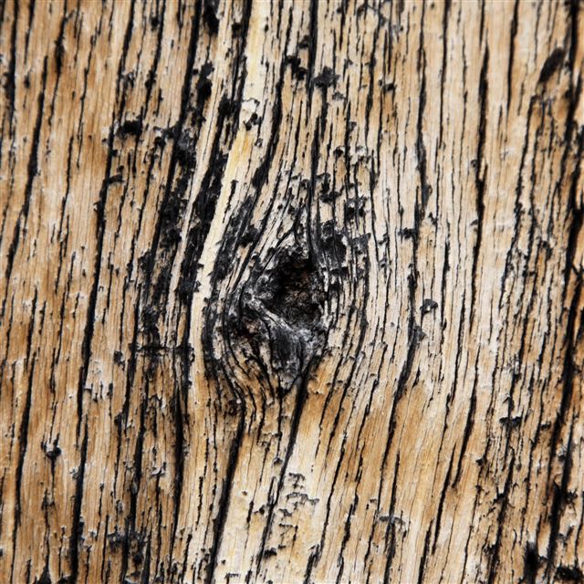 2048x2048 Wither Wooden Pattern Texture - aesthetic iPad Air Wallpaper