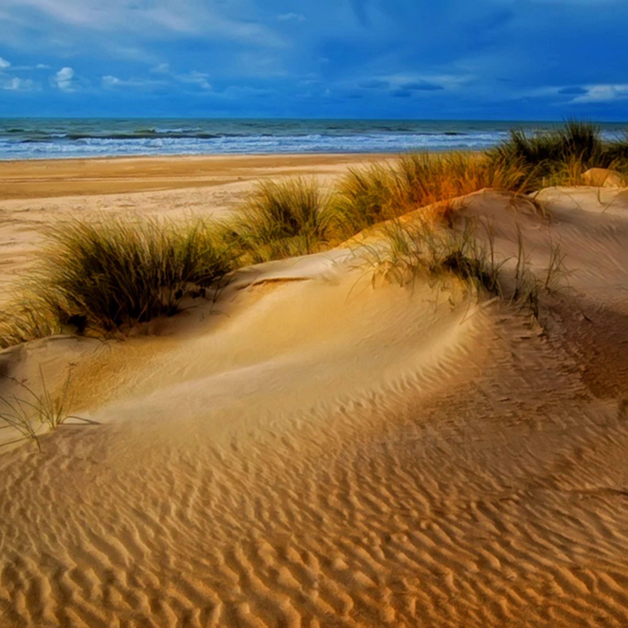 Sunny Bright Sandy Beach Landscape iPad Air wallpaper 