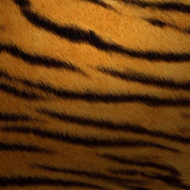 2048x2048 Abstract Leopard Texture Pattern - simple iPad Air Wallpaper