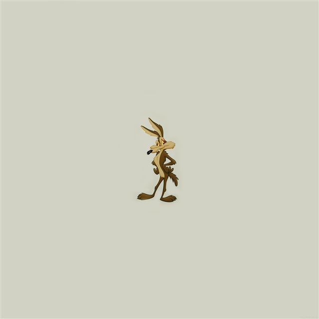 2048x2048 Wile E Coyote In Road Runner Iillust Art Animal -  iPad Air Wallpaper