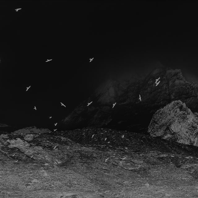 2048x2048 Winter Mountain Bird Rene Reichelt Black Nature - grayscale iPad Air Wallpaper
