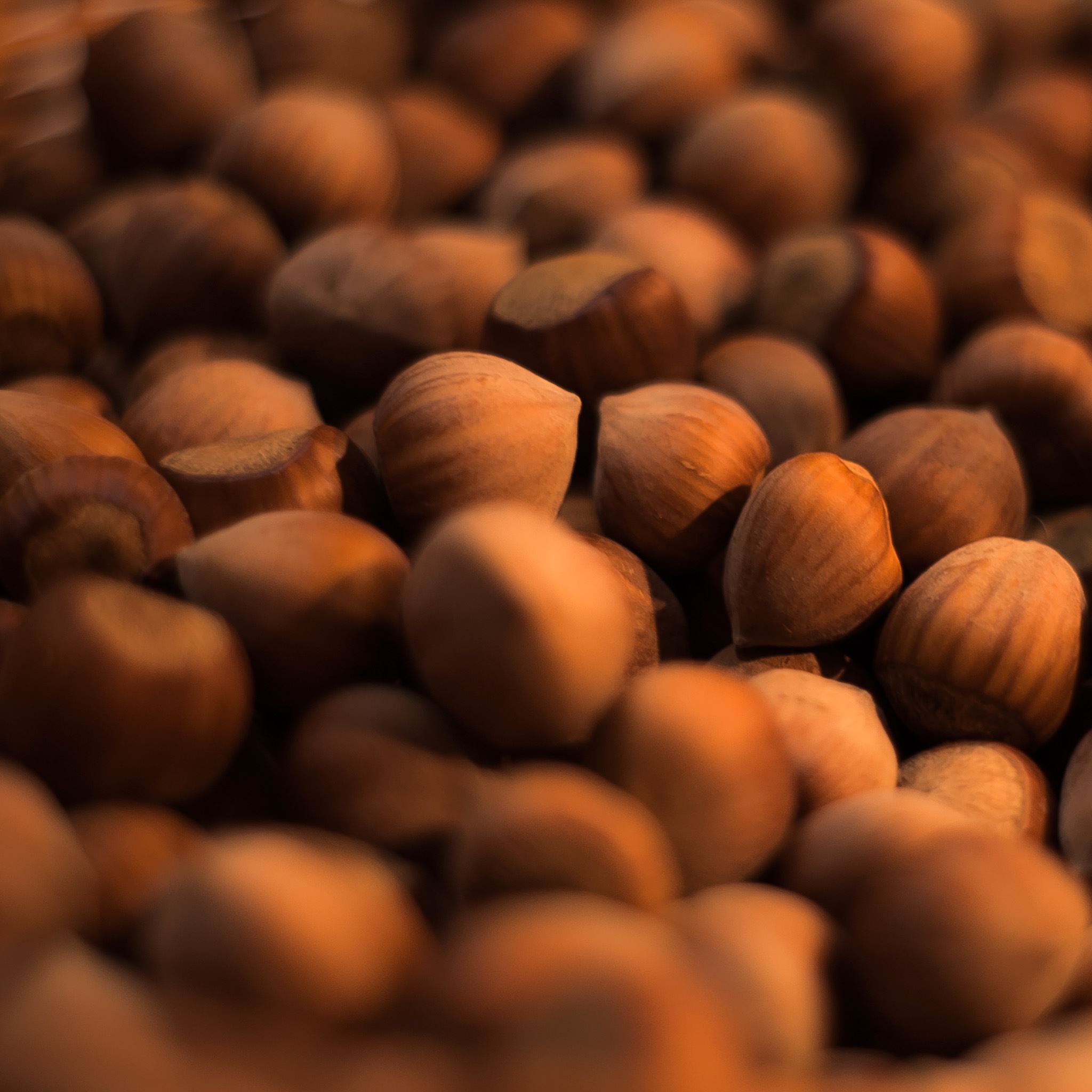 Brown Nut Fruit Macro iPad Air wallpaper 