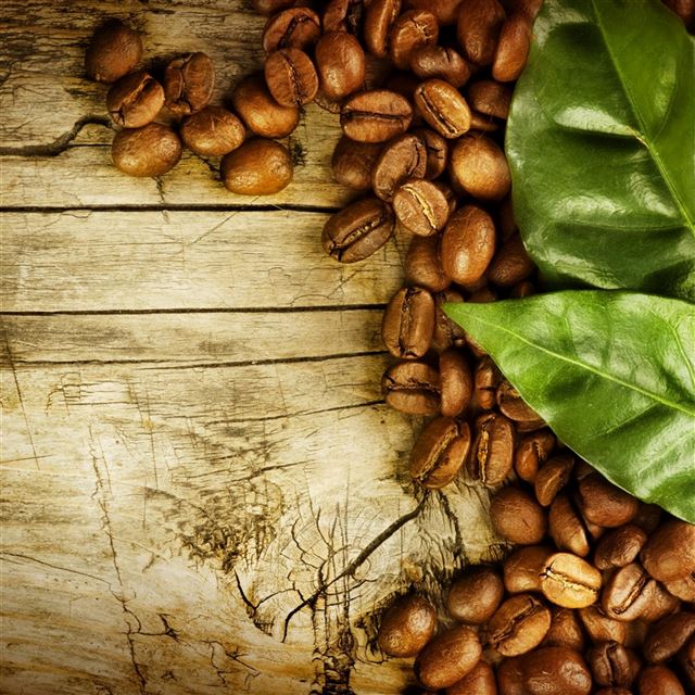 2048x2048 Coffee Bean Wooden Leaf Wooden -  iPad Air Wallpaper