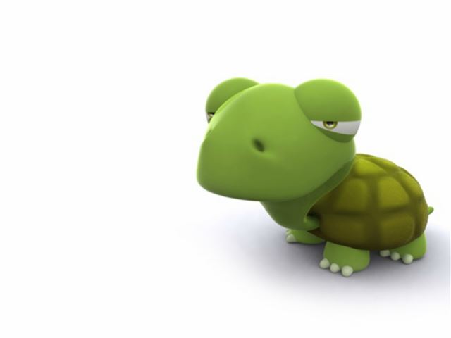 2048x2048 Sleepy Lazy Green Tortoise -  iPad Air Wallpaper