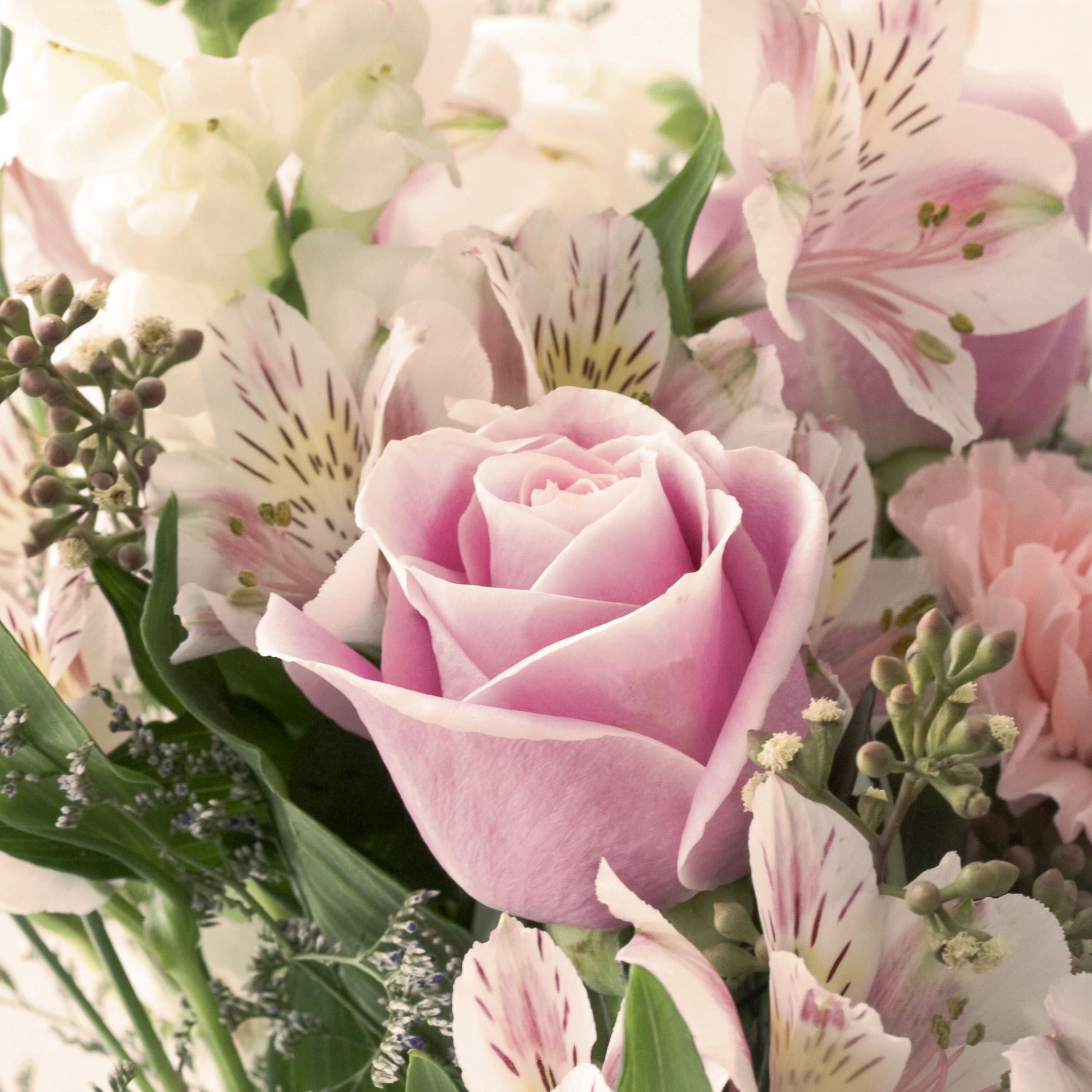 Pastel Rose Bouquet iPad Air wallpaper 