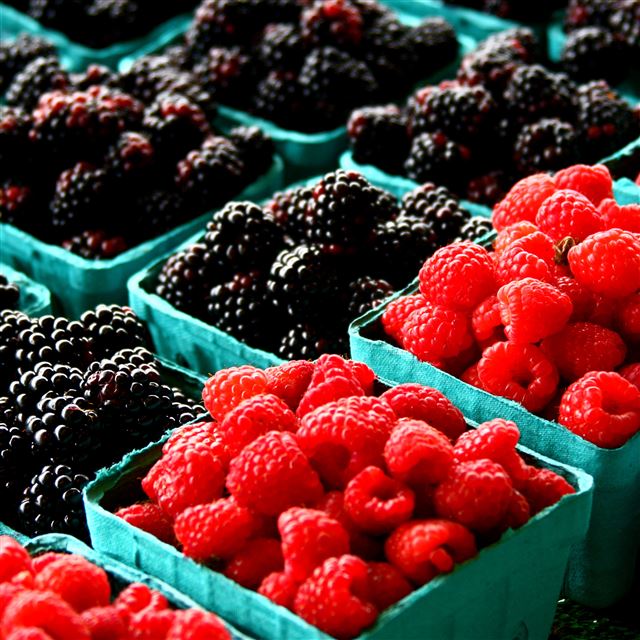 2048x2048 Red Black Berries -  iPad Air Wallpaper
