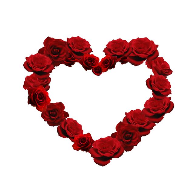 2048x2048 Rose Love Heart -  iPad Air Wallpaper