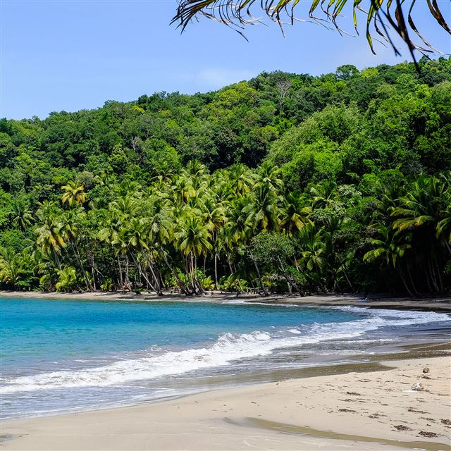 2048x2048 Tropical Beach Landscape - landscape iPad Air Wallpaper