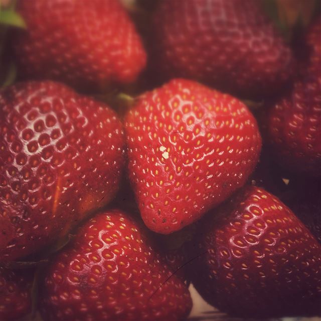 2048x2048 Red Strawberries Photography - fruit iPad Air Wallpaper