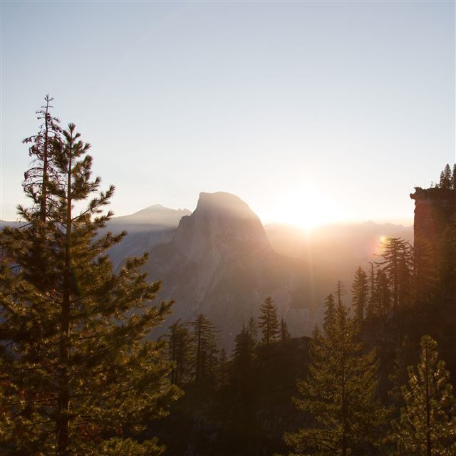 2048x2048 Nature Forest Mist Sunshine Mountain View - view iPad Air Wallpaper