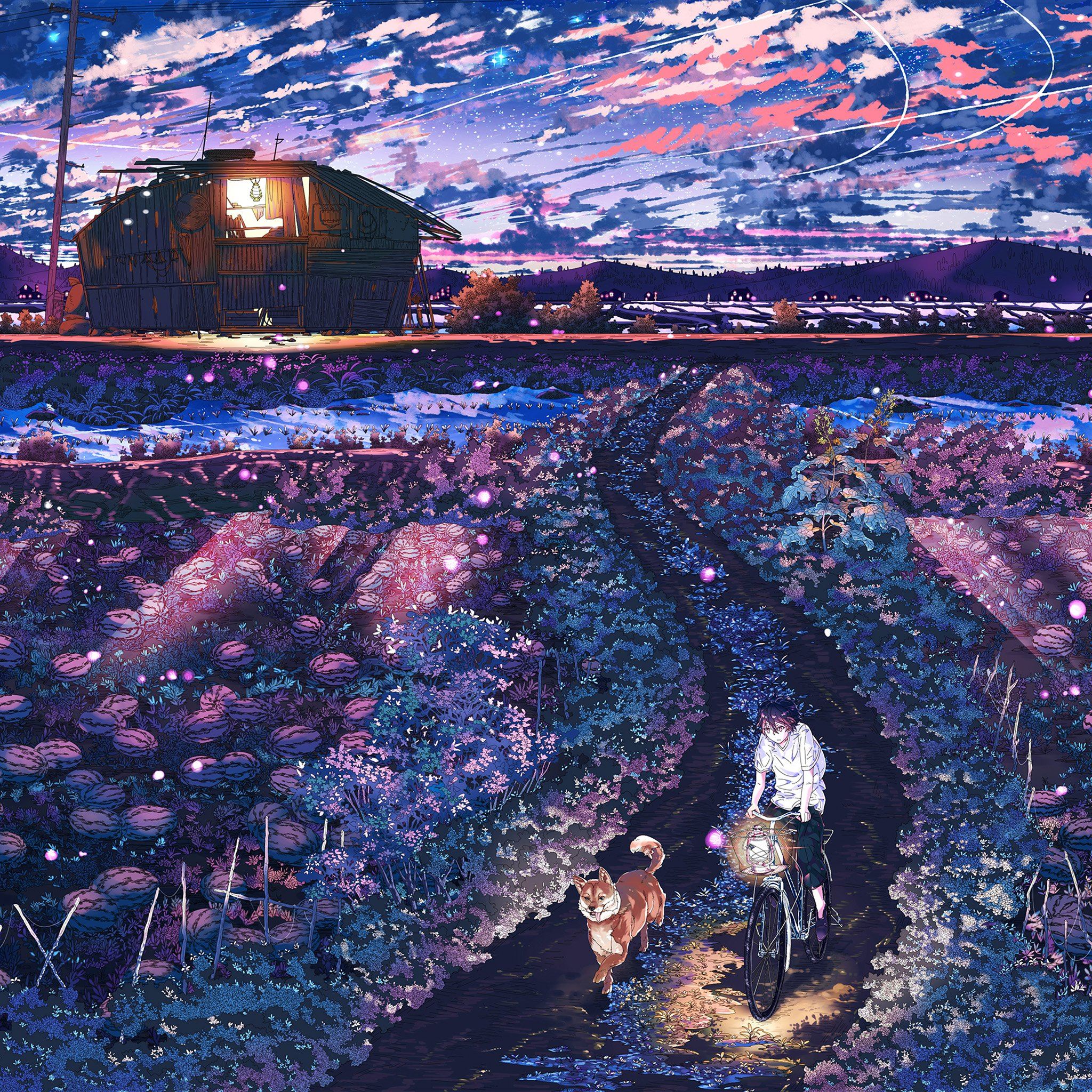 Anime Night Art Sunset Lovely Illustration iPad Air wallpaper 