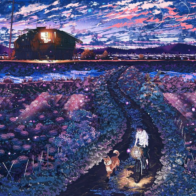 2048x2048 Anime Night Art Sunset Lovely Illustration -  iPad Wallpaper