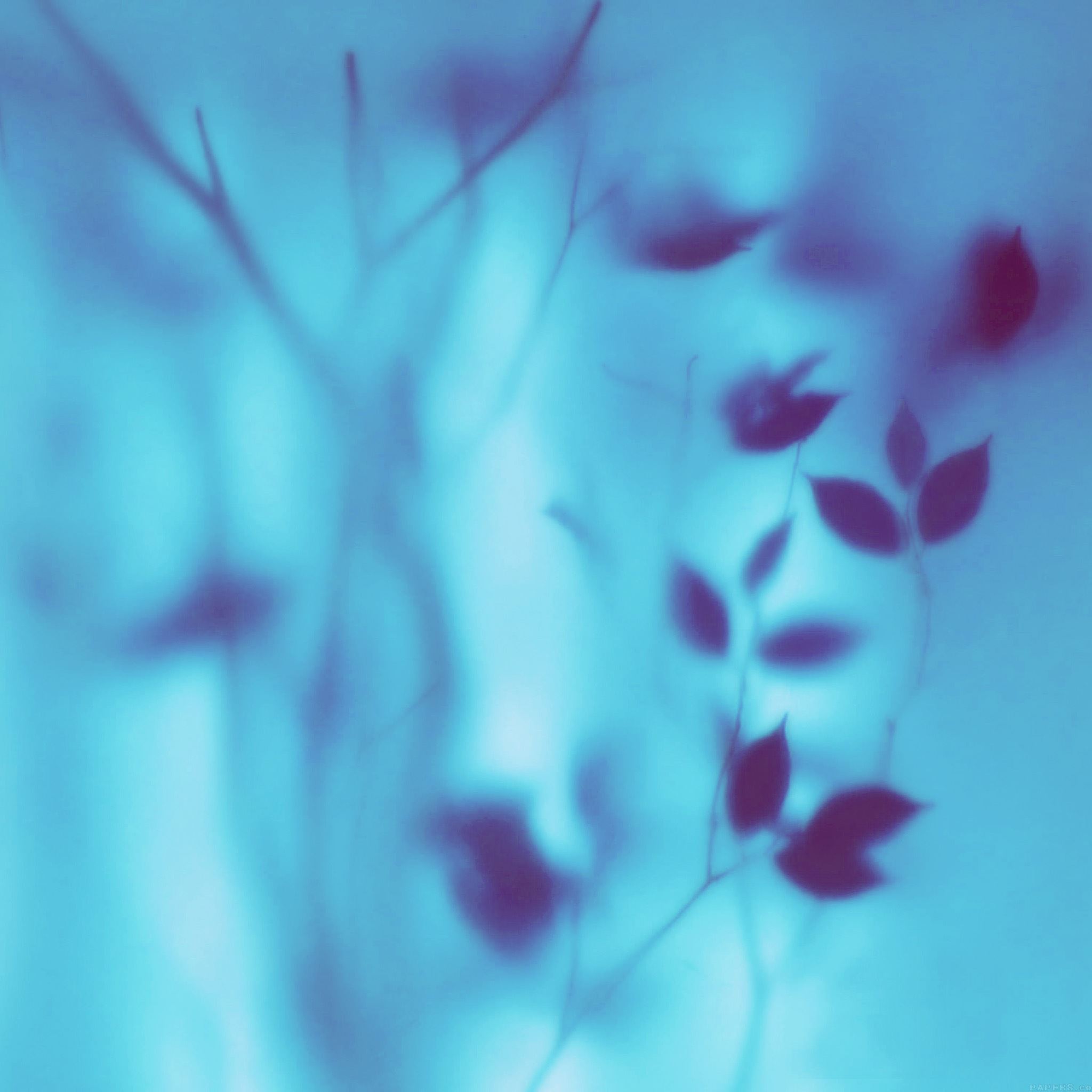 Bokeh Window Leaf Blue Pattern iPad Air wallpaper 