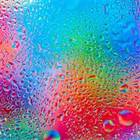 Rainbow Drops Nature wallpaper