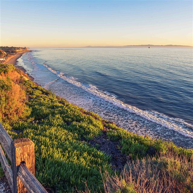 2048x2048 Peace Nature Wood Sea Ocean Nature - yellow iPad Air Wallpaper