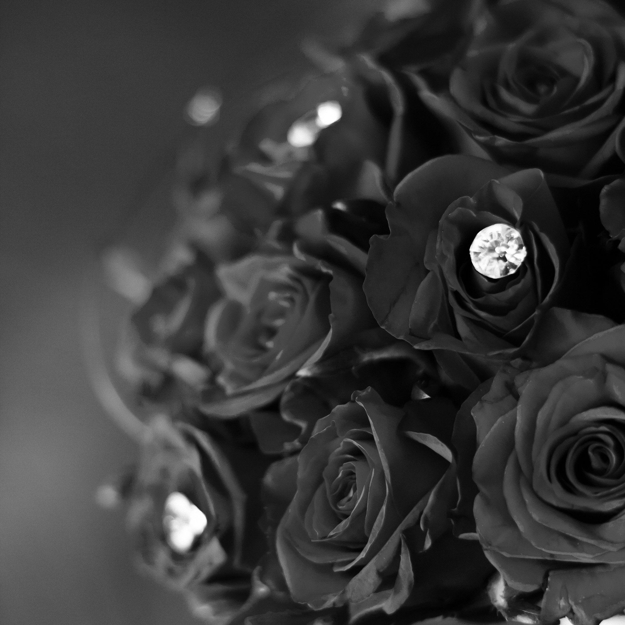 Rose Flower With Diamond Dark Bw Love Propose iPad Air wallpaper 