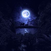 Lionking Disney Night Art Illustration wallpaper