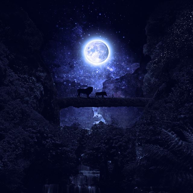2048x2048 Lionking Disney Night Art Illustration - night iPad Air Wallpaper