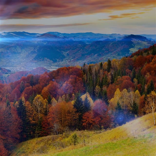 2048x2048 Fall Mountain Fun Red Orange Tree Flare Nature - beautiful iPad Air Wallpaper