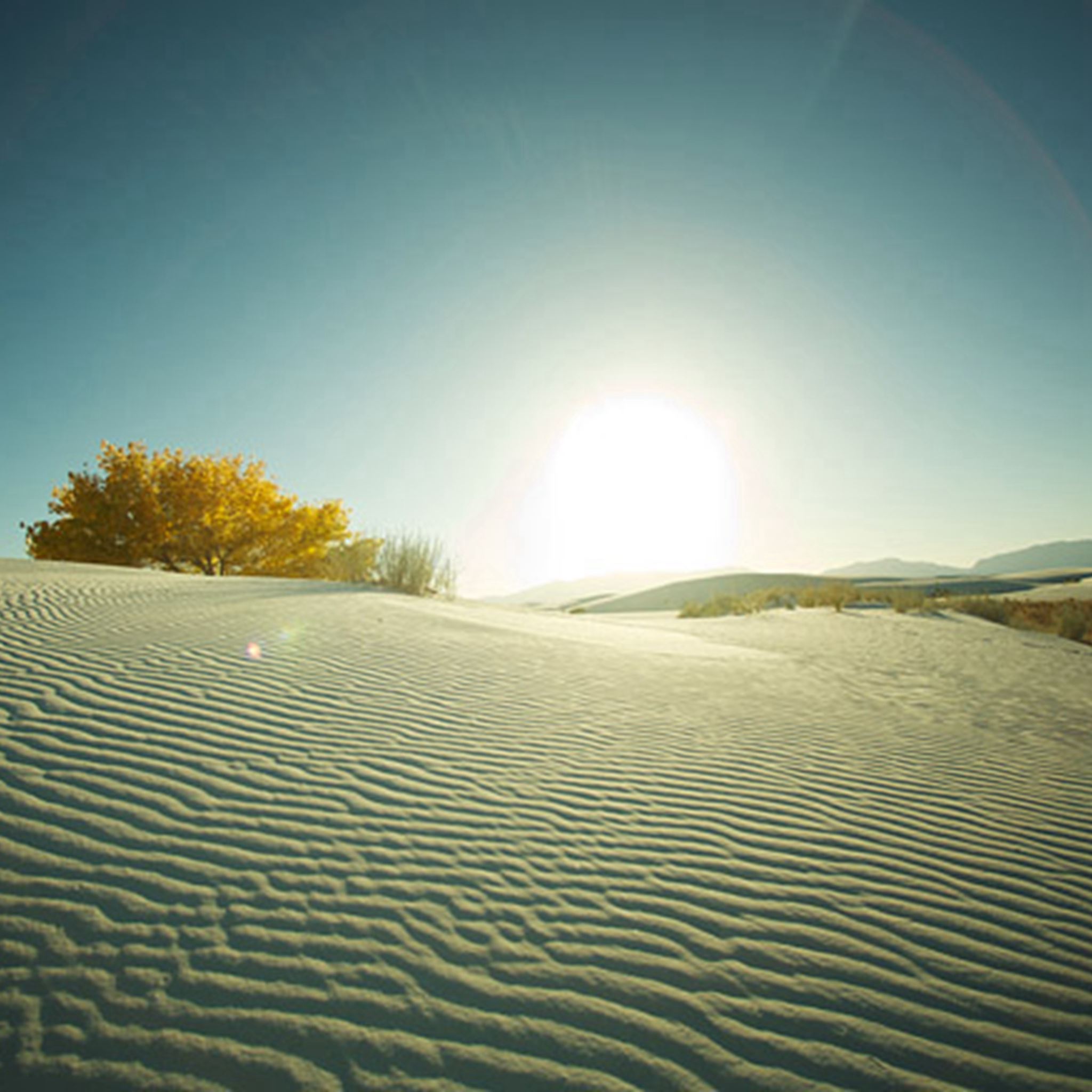 Nature Sunshine Sandy Flare Wave Desert iPad Air wallpaper 