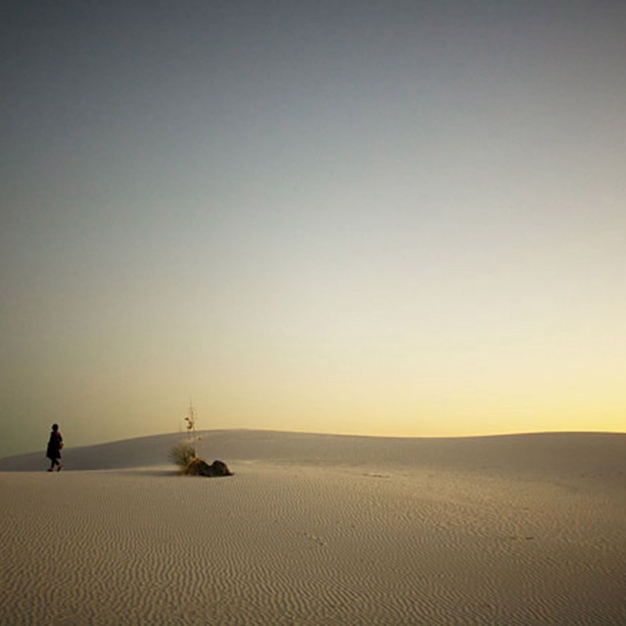Lonely Man In Wide Endless Desert Land iPad Air wallpaper 