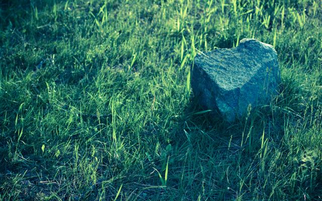 2048x2048 A Rock In A Field At Sunset - field iPad Air Wallpaper