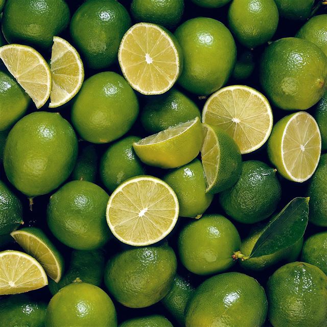 2048x2048 Line Fruit Green Nature Pattern - yellow iPad Air Wallpaper