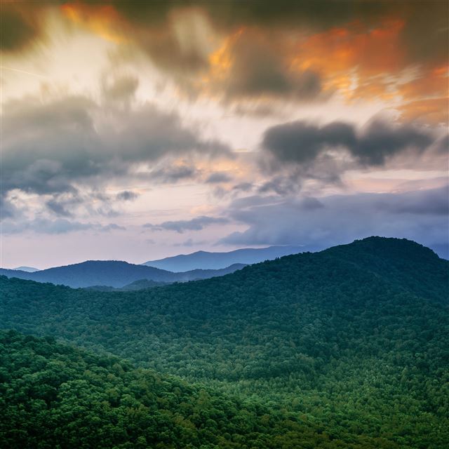 2048x2048 Mountain Morning Forest Green Sky Cloud - morning iPad Air Wallpaper