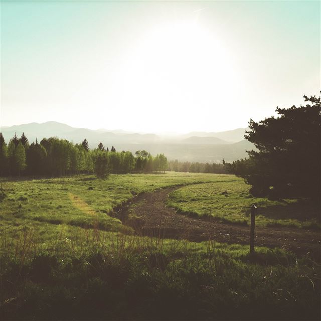 2048x2048 Land Green Nature Forest Road Peace - field iPad Air Wallpaper
