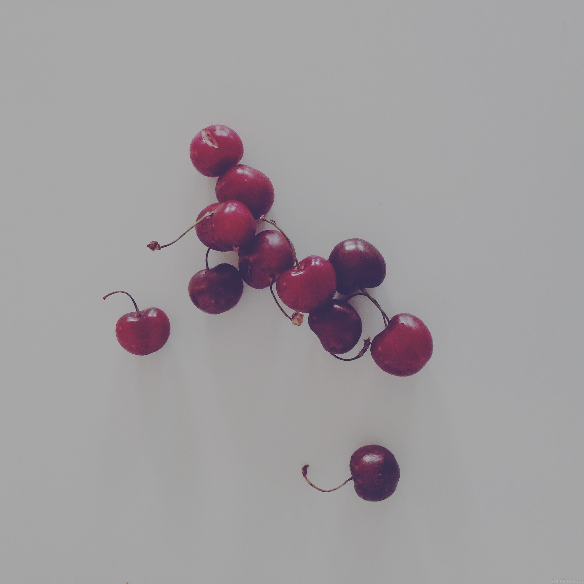 Cherry Red Dark Paula Borowska Fruit Nature iPad Air wallpaper 