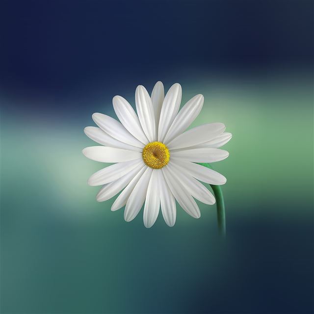 2048x2048 Flower Blue Green Nature -  iPad Air Wallpaper