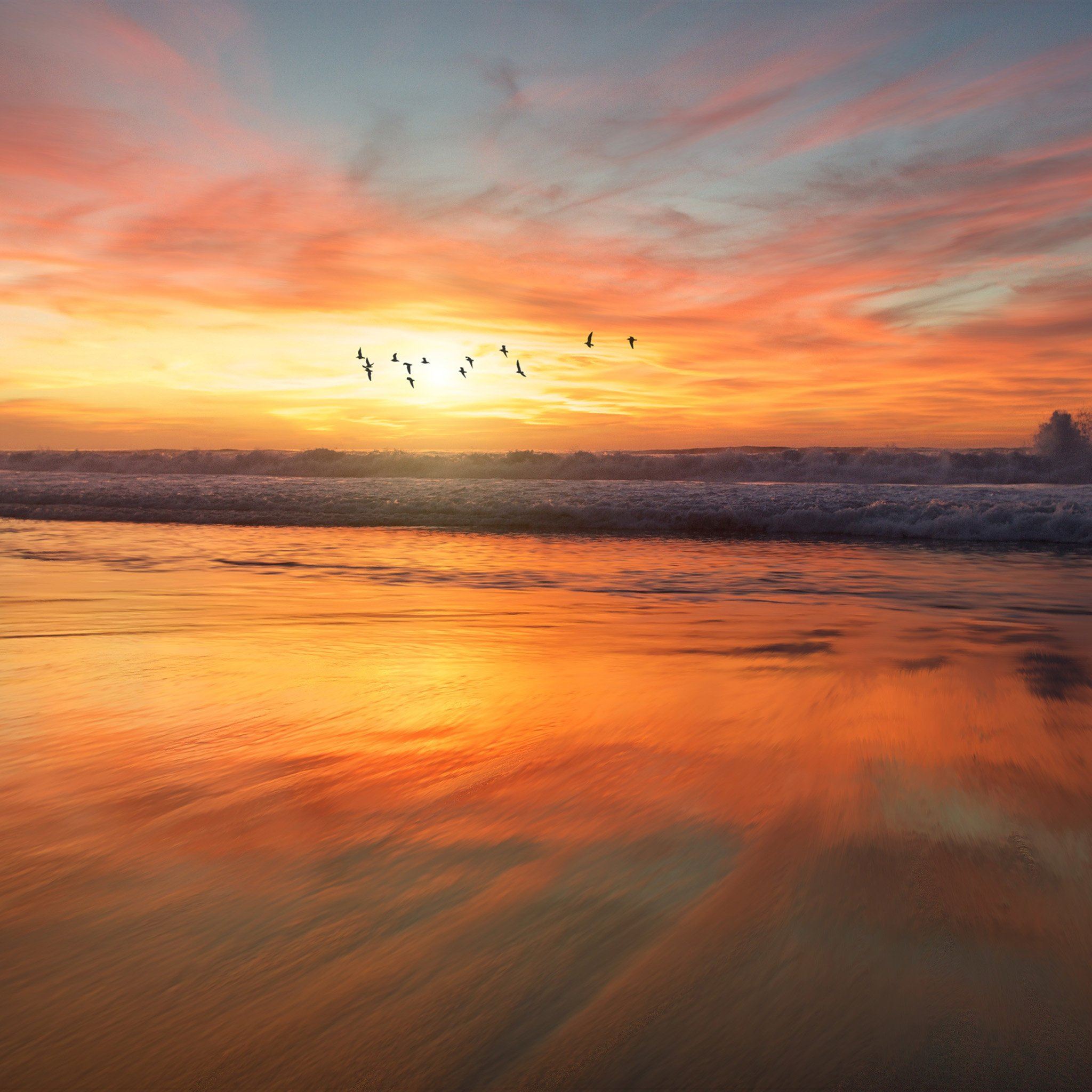 Sunset Sea Nature Orange Summer Sky Bird iPad Air wallpaper 