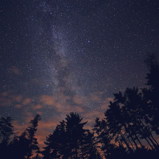 2048x2048 Night Sky Stars Milkyway Wood Nature Blue - trees iPad Air Wallpaper