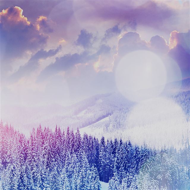 2048x2048 Winter Mountain Snow White Blue Flare Nature - pine trees iPad Air Wallpaper