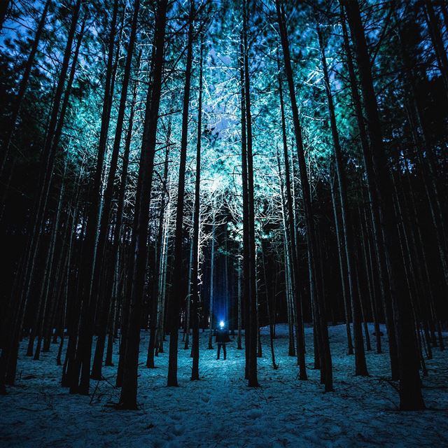 2048x2048 Wood Mountain Nature Blue Night - trees iPad Air Wallpaper