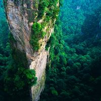 Nature Tall Mountain Cliff Forest Scenery wallpaper