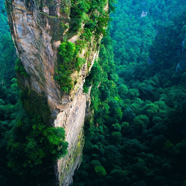 2048x2048 Nature Tall Mountain Cliff Forest Scenery - scenery iPad Air Wallpaper