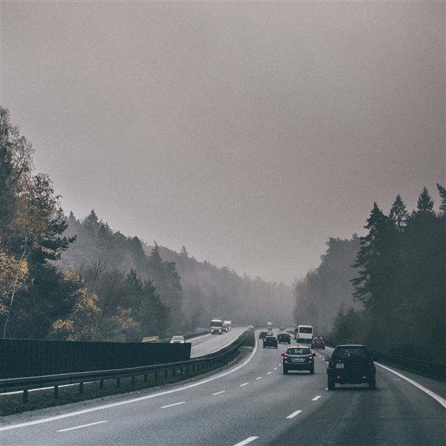 2048x2048 Road Drive Afternoon Nature - green iPad Air Wallpaper