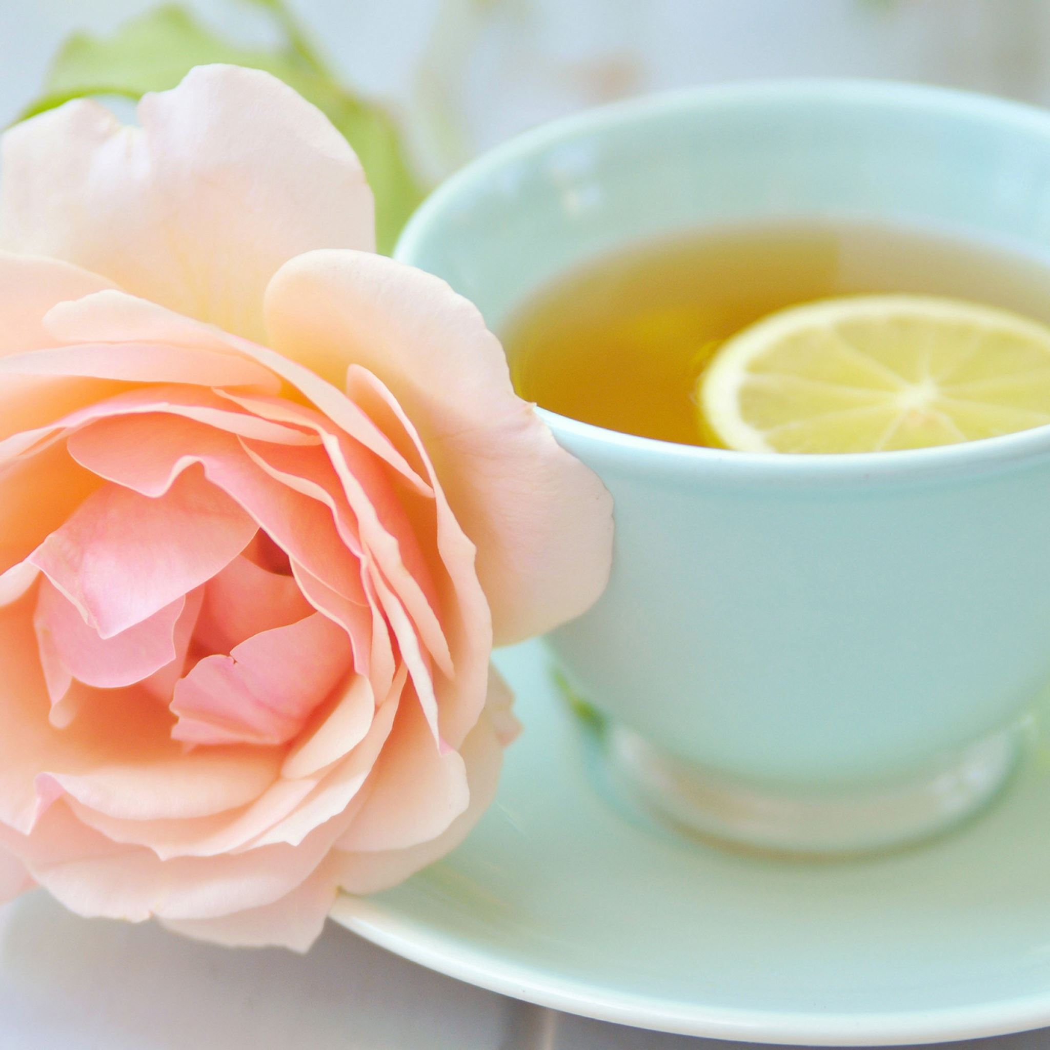 Tea Cup Lemon Rose iPad Air wallpaper 