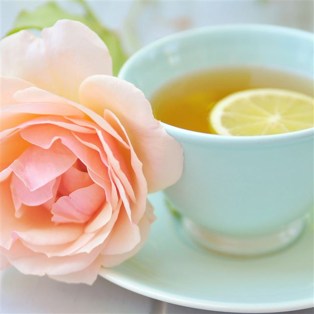 2048x2048 Tea Cup Lemon Rose - cup iPad Air Wallpaper
