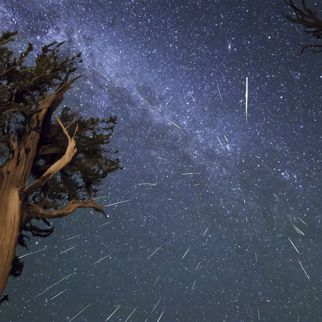 2048x2048 Meteors Perseids Bristlecone Meteor Shower -  iPad Wallpaper