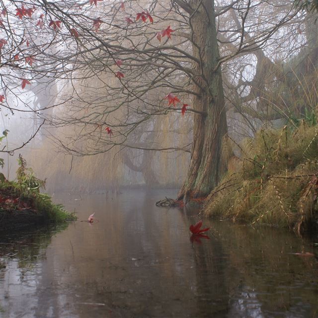 2048x2048 Painting Art Trees Lake Leaves Shrubs Fog - trees iPad Air Wallpaper
