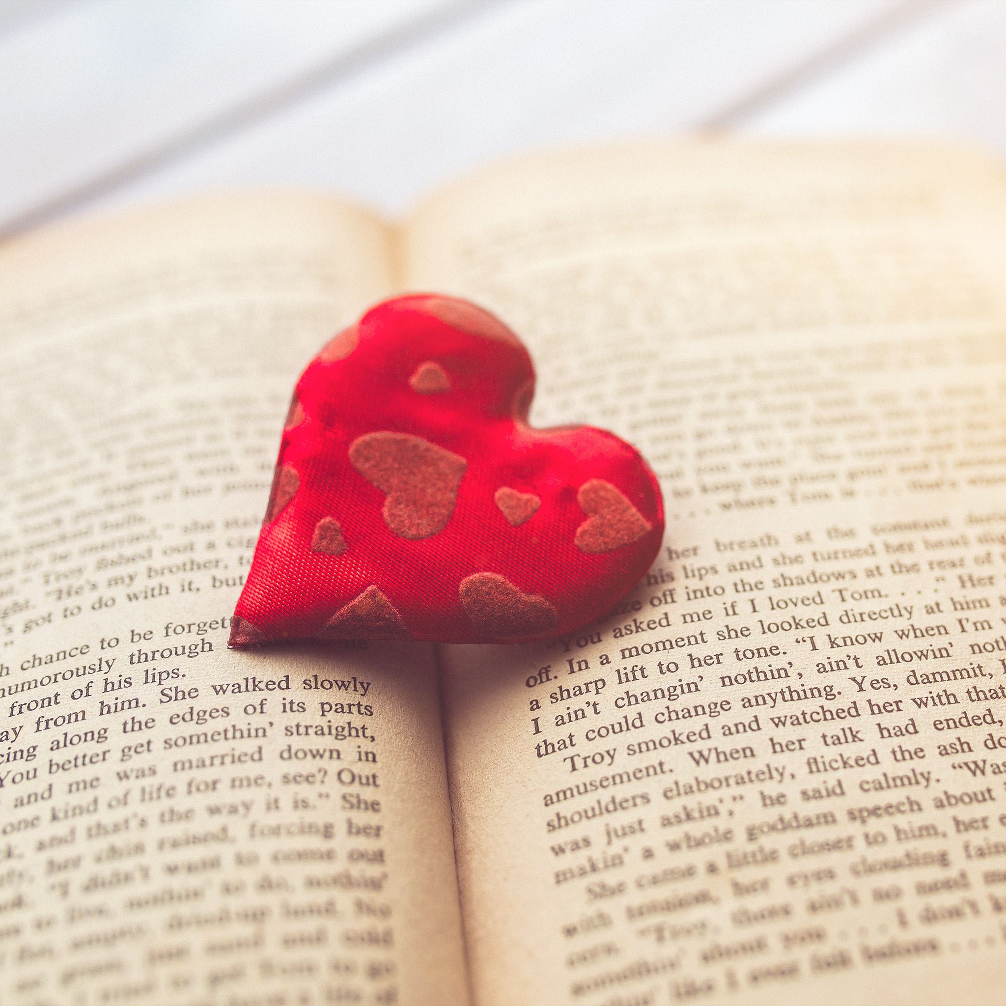 Heart Love Book Read Hana Red Flare iPad Air wallpaper 