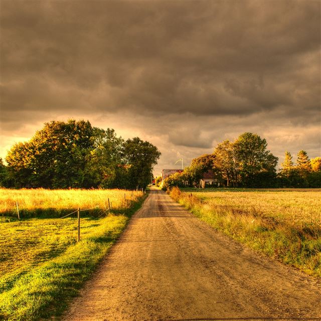 2048x2048 Autumn Field Road Landscape - yellow iPad Air Wallpaper