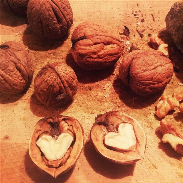 2048x2048 Walnuts Heart Shell - heart iPad Air Wallpaper