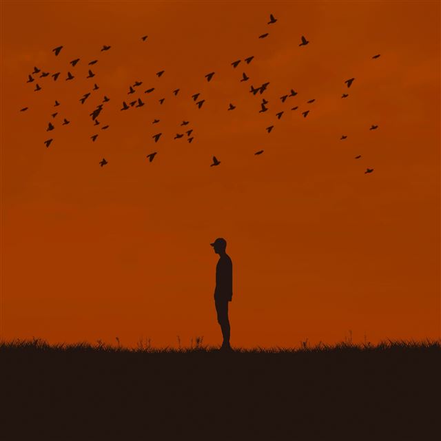 2048x2048 Man Silhouette Birds On Hill - birds iPad Air Wallpaper