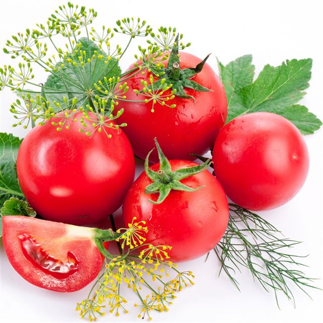 2048x2048 Tomatoes Branch Ripe - green iPad Air Wallpaper