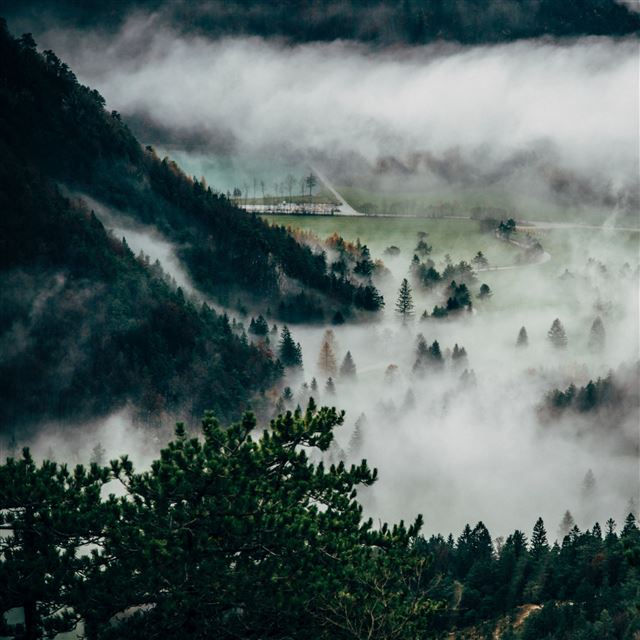 2048x2048 Trees Fog Mountains Summit - green iPad Air Wallpaper