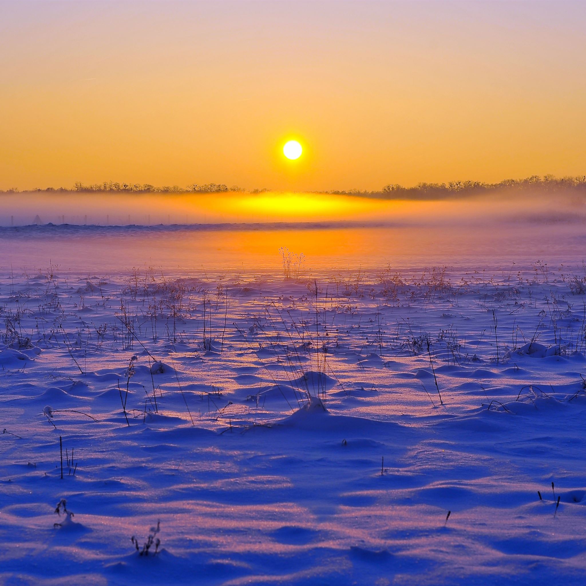 Солнце заходит зимой. Зимний закат. Зимнее поле. Закат зимой. Рассвет зимой.